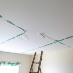 Faux plafond tendu : une finition impeccable pour votre plafond La Fleche